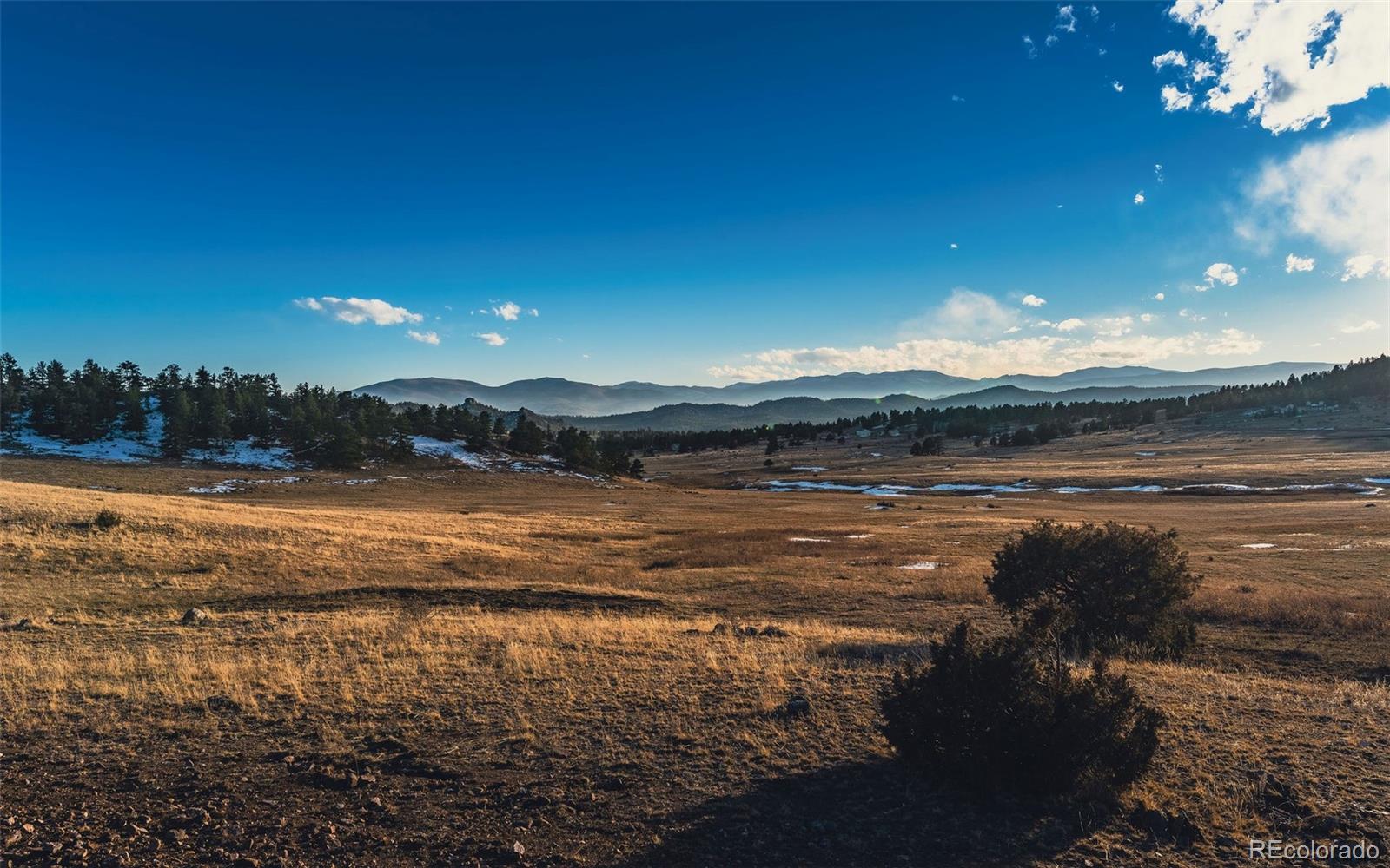 0 Red Feather Lakes Road Livermore, CO 80536 - Photo 6 of 40 Gallery Image 6