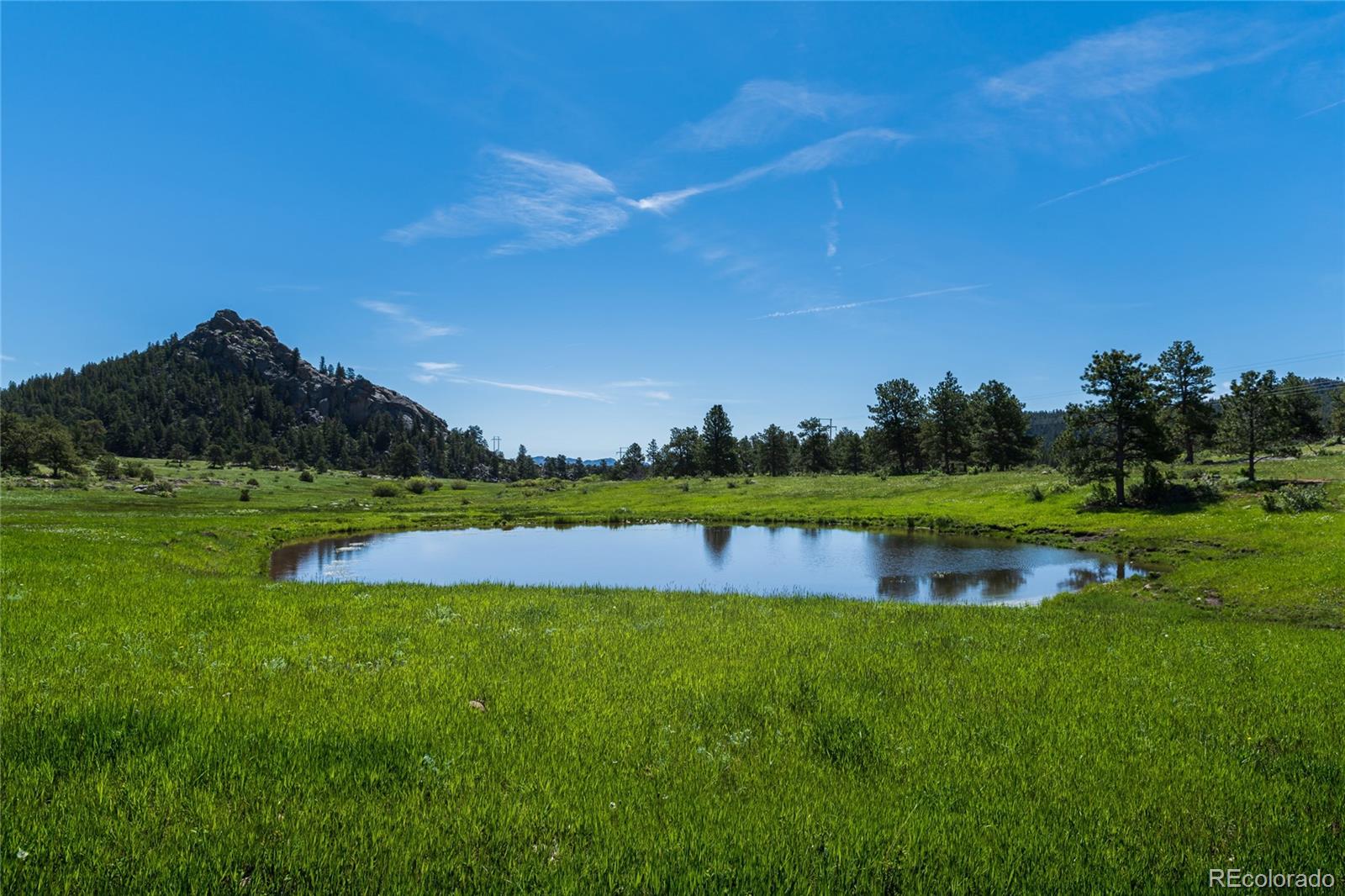 0 Red Feather Lakes Road Livermore, CO 80536 - Photo 7 of 40 Gallery Image 7