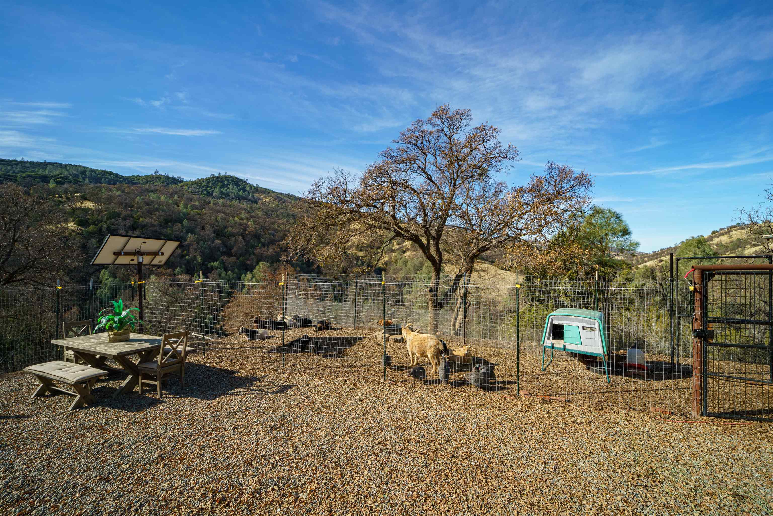 21000 Mines Road Livermore, CA 94550 - Photo 50 of 56 a view of a patio with table and chairs under an umbrella with large trees