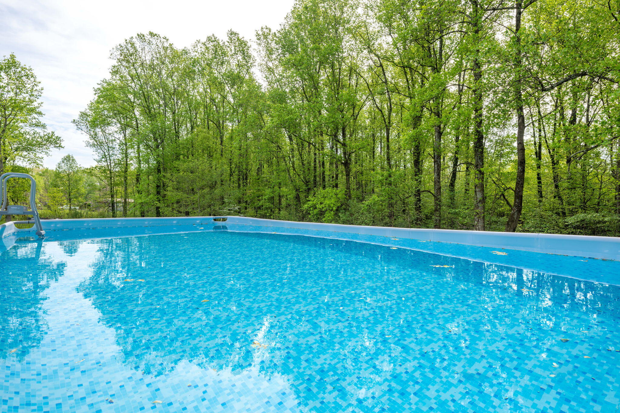 1725 Walkertown Road Dayton, TN 37321 - Photo 39 of 54 44-web-or-mls-_DSC5316-5