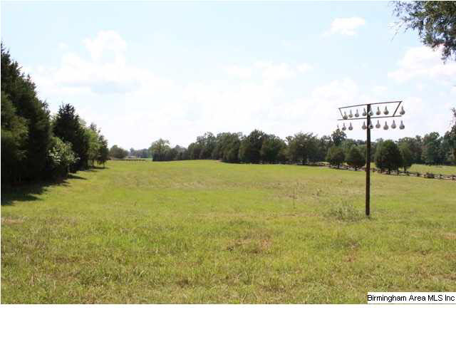 Mudd Street Lincoln, AL 35096 - Photo 29 of 32