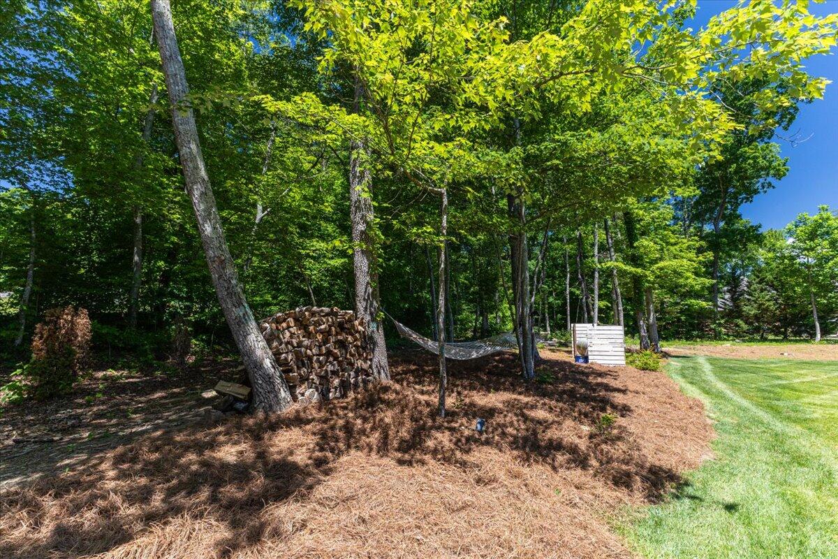 7513 Raptors Roost Lane Signal Mountain, TN 37377 - Photo 63 of 69 061-Taylor Gardenhire - IMG_0922