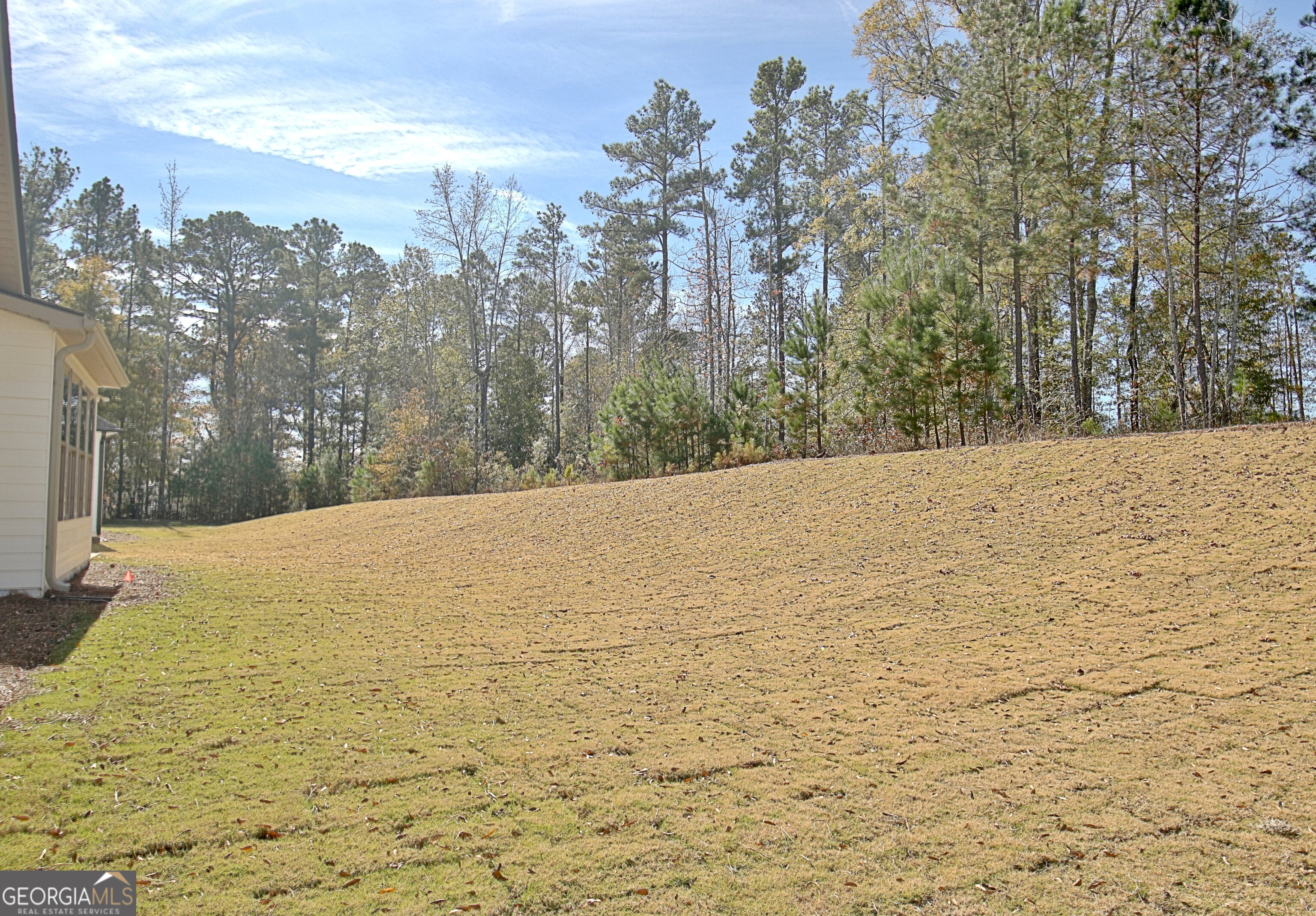 480 Werner Way Senoia, GA 30276 - Photo 72 of 88