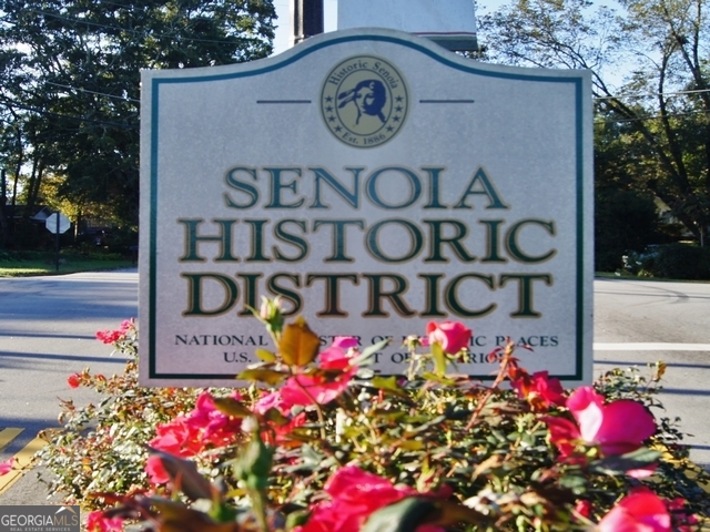 480 Werner Way Senoia, GA 30276 - Photo 82 of 88