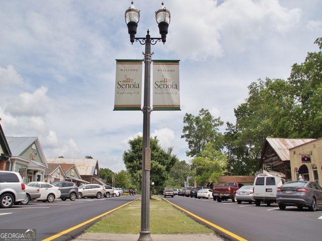 480 Werner Way Senoia, GA 30276 - Photo 83 of 88