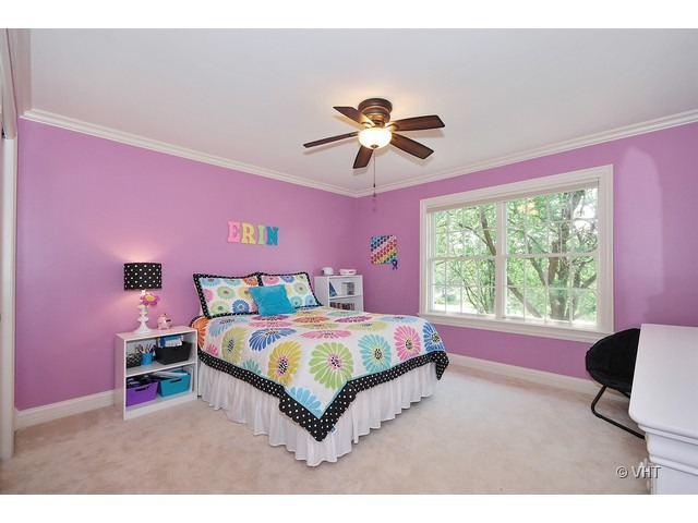 36W450 Bristol Road St. Charles, IL 60175 - Photo 19 of 25