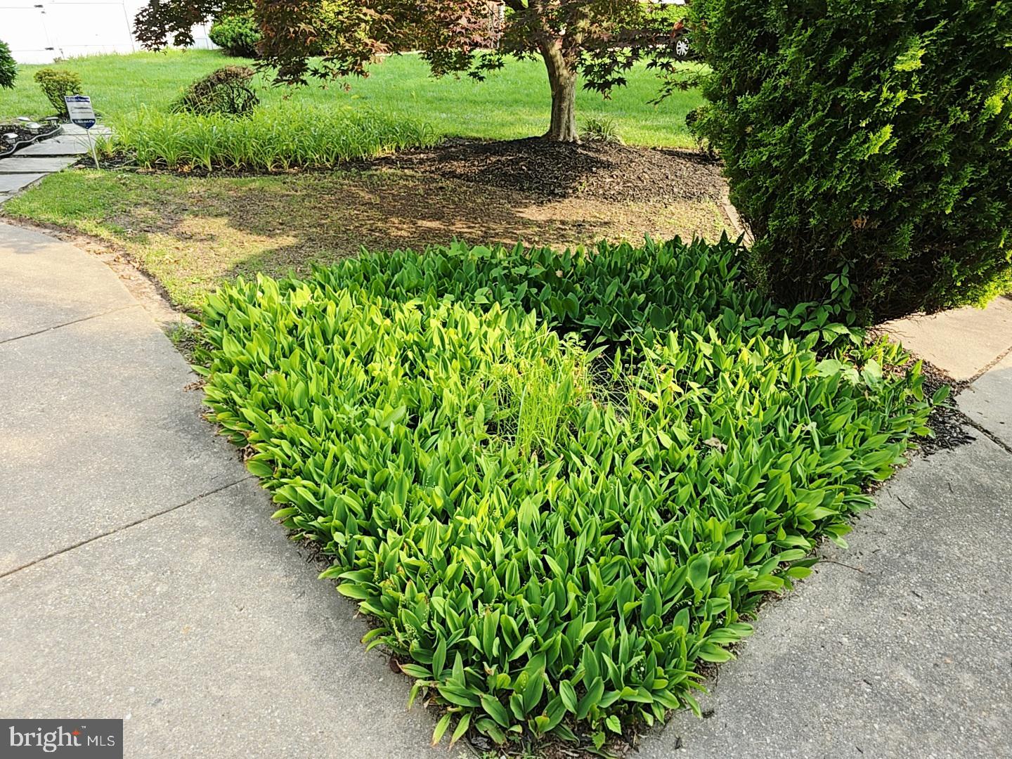 5000 Leah Court Camp Springs, MD 20746 - Photo 6 of 124