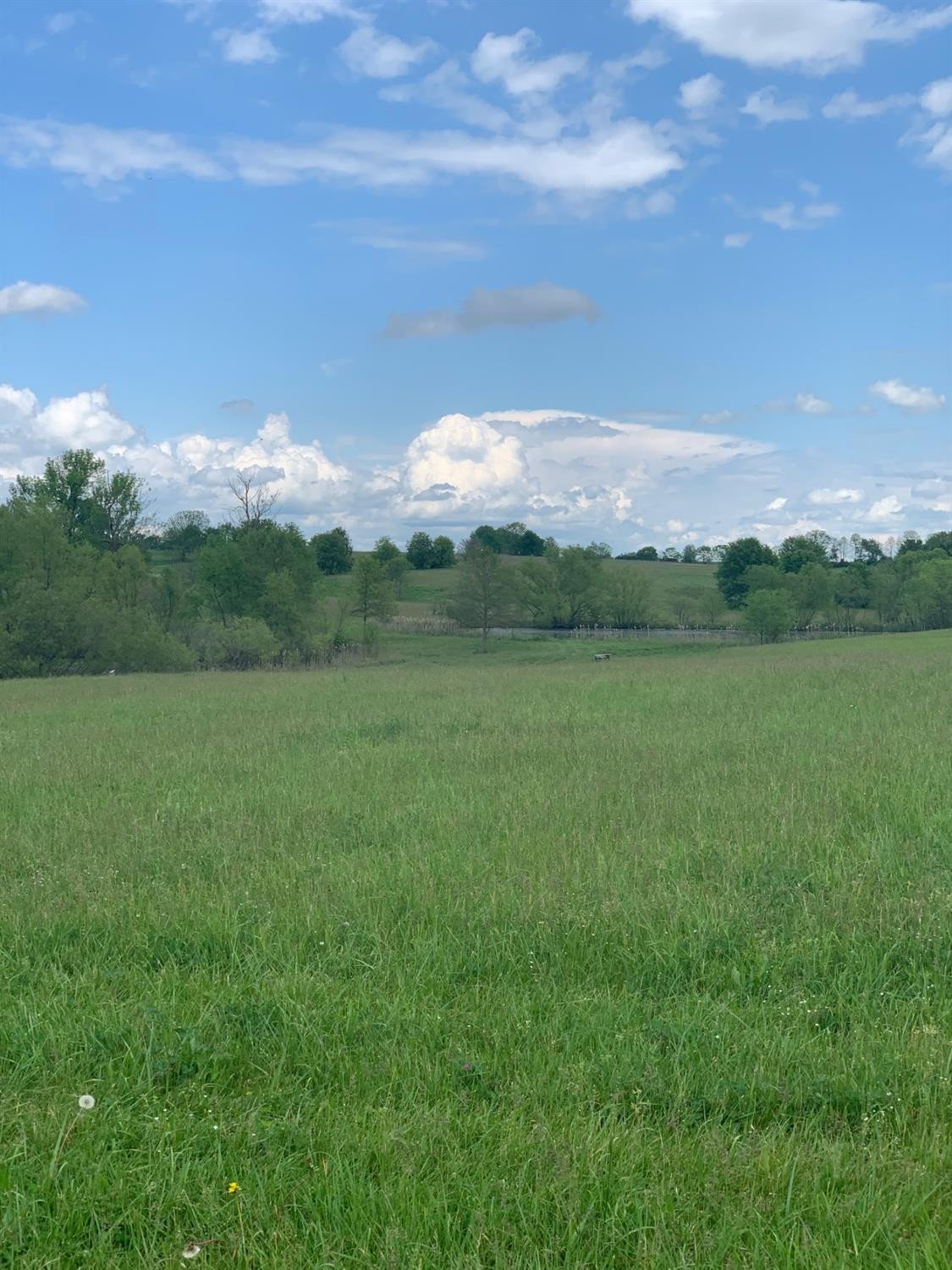 2602 Bethlehem Road Paris, KY 40361 - Photo 24 of 37 Photo 24