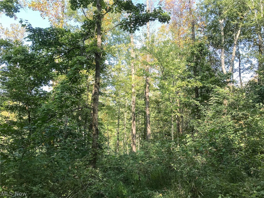 16487 Flint Ridge Road Southeast Heath, OH 43056 - Photo 17 of 35