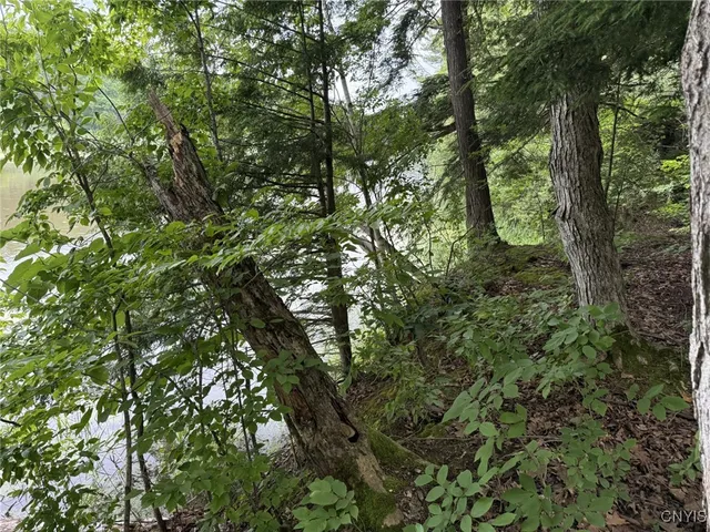 $65,000 | 0 Lot D County Rt 179, Chaumont, NY 13622