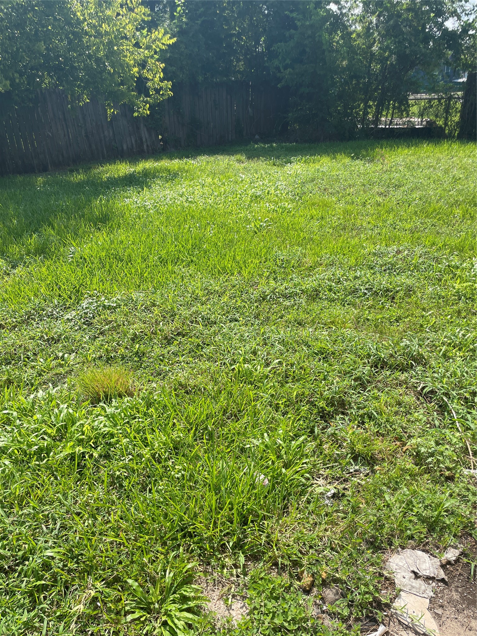 2308 Russell Street Houston, TX 77026 - Photo 4 of 10 a view of a yard with a tree