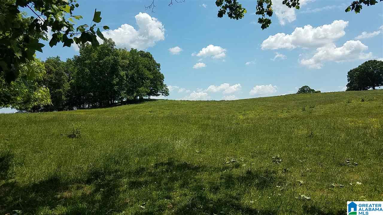 31 County Road Ashland, AL 36251 - Photo 29 of 38
