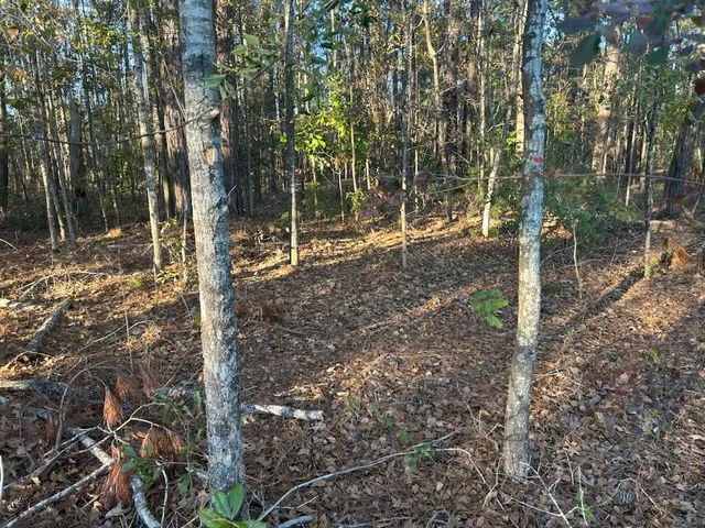 $110,000 | 5860 Martin Street, Ravenel, SC 29470