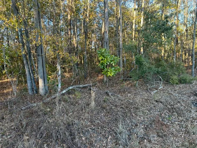 $110,000 | 5860 Martin Street, Ravenel, SC 29470