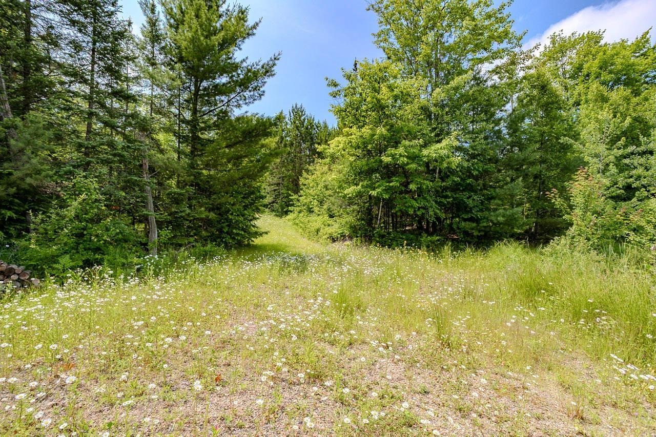 W4601 Olivotti Lake Road Merrill, WI 54452 - Photo 38 of 45