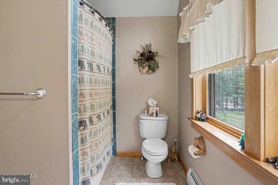 2270 Pine Tree Road Hughesville, PA 17737 - Photo 57 of 90 Charming bathroom with nature accents.
