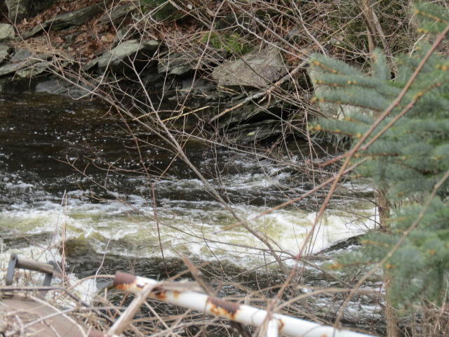 174 Waterville Road Belfast, ME 04915 - Photo 7 of 21 IMG_6011