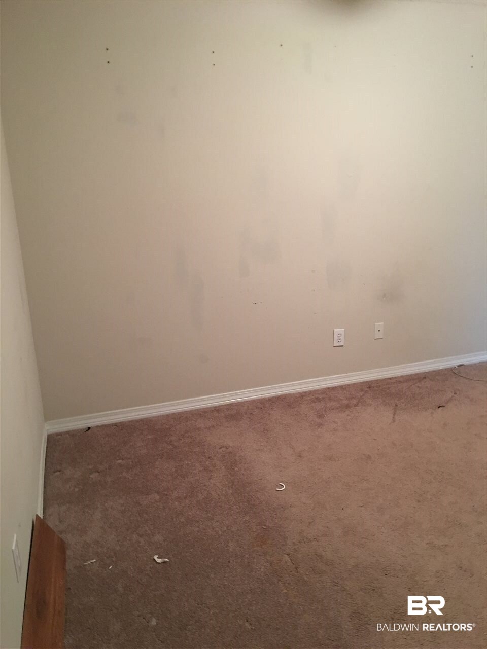 5100 Carol Acres Lane West Mobile, AL 36619 - Photo 3 of 9