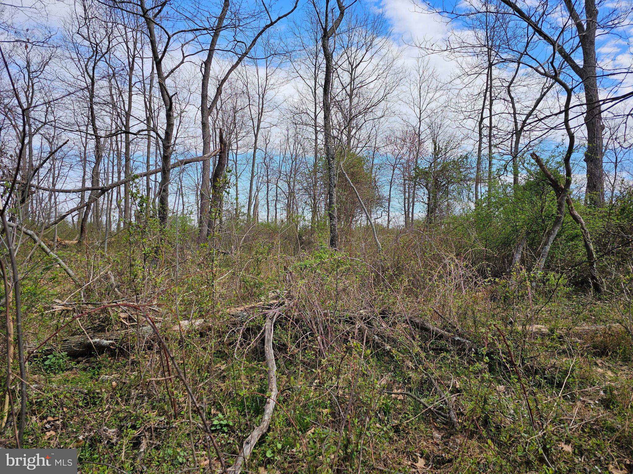 2 3 /- Acres Hunter Road Mercersburg, PA 17236 - Photo 14 of 15