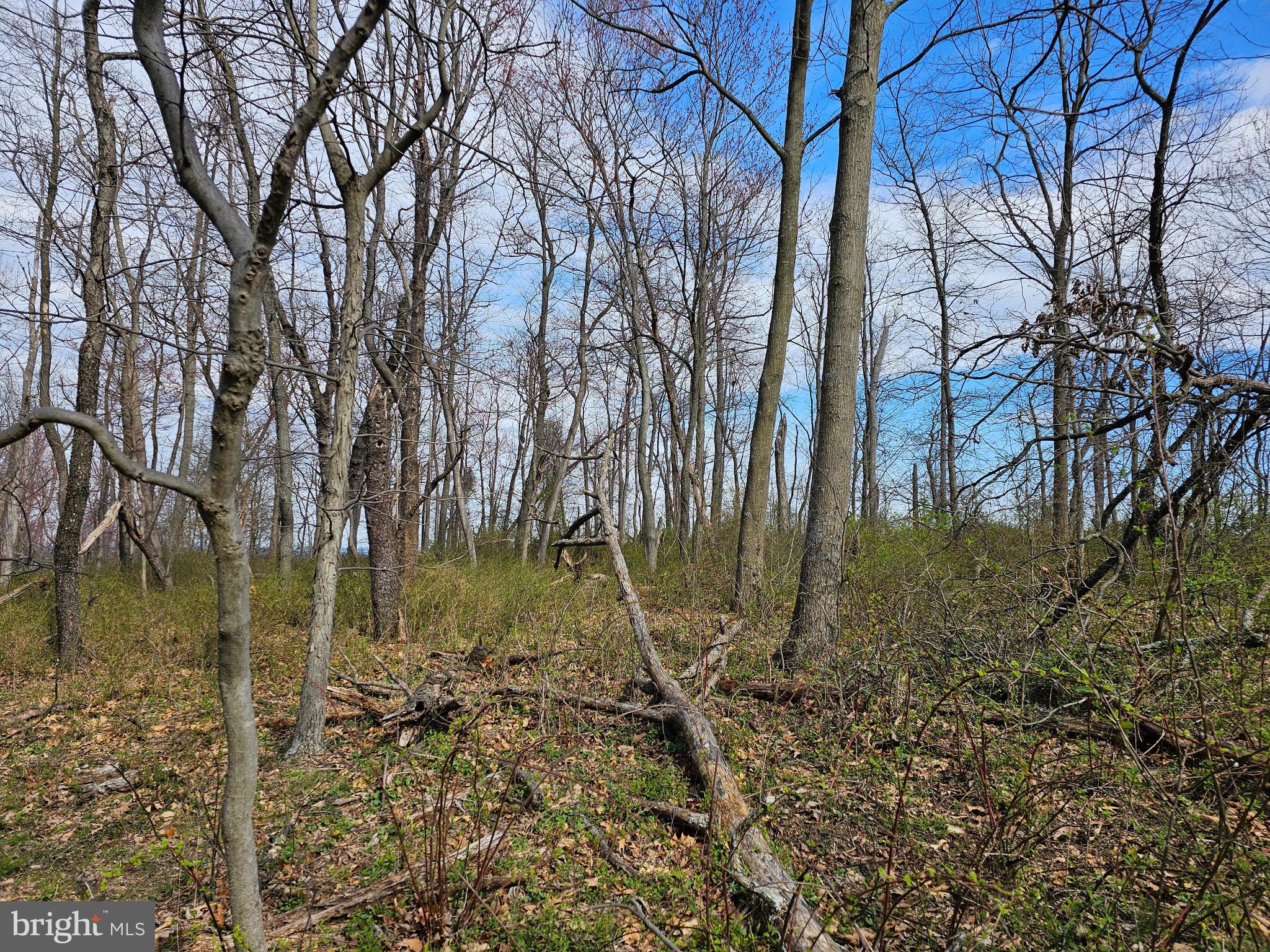 2 3 /- Acres Hunter Road Mercersburg, PA 17236 - Photo 15 of 15