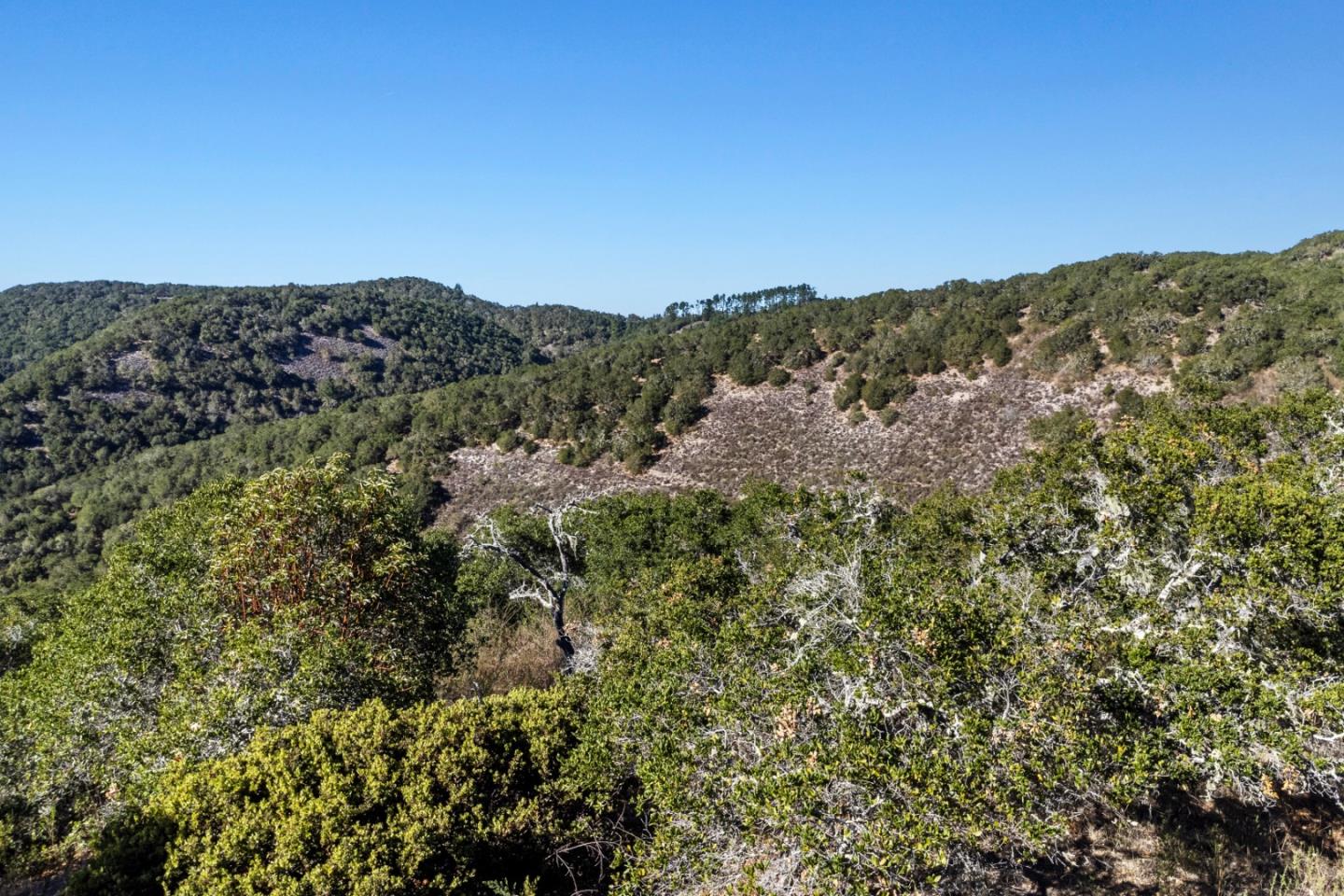9 Corral Run Carmel, CA 93923 - Photo 8 of 19