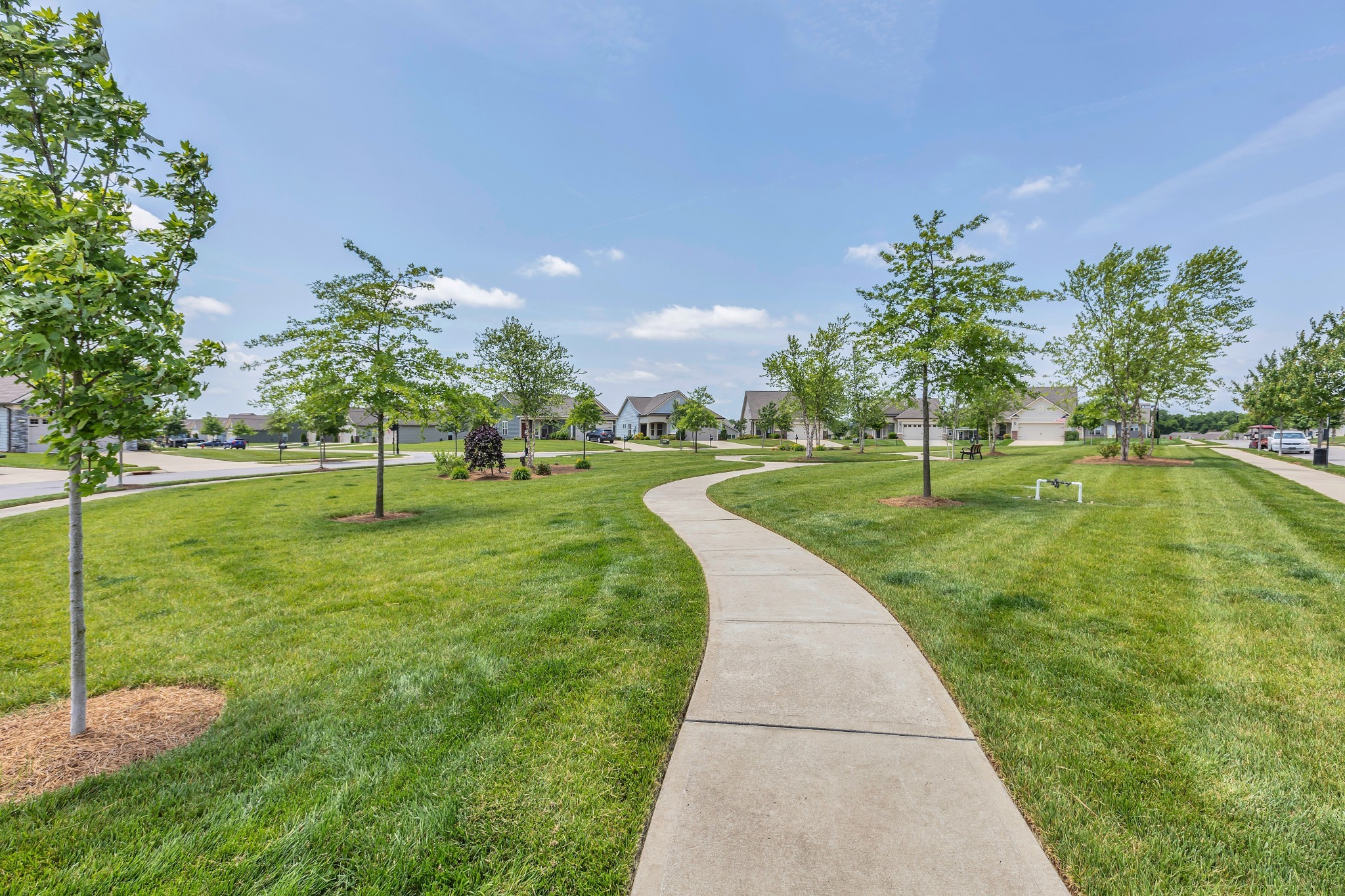 1514 Bledsoe Knoll Spring Hill, TN 37174 - Photo 30 of 47