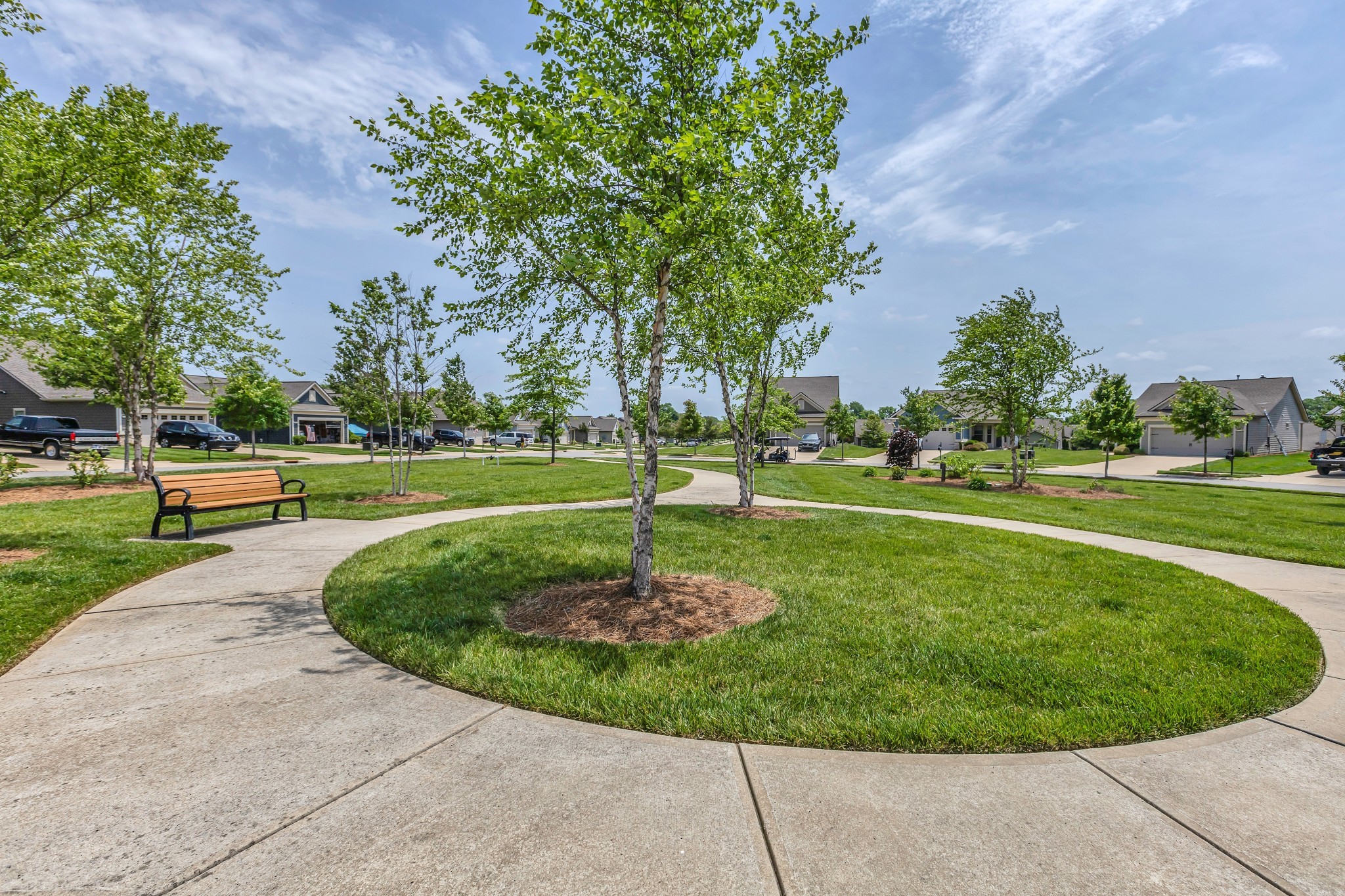 1514 Bledsoe Knoll Spring Hill, TN 37174 - Photo 32 of 47