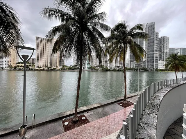 a view of a lake with palm trees