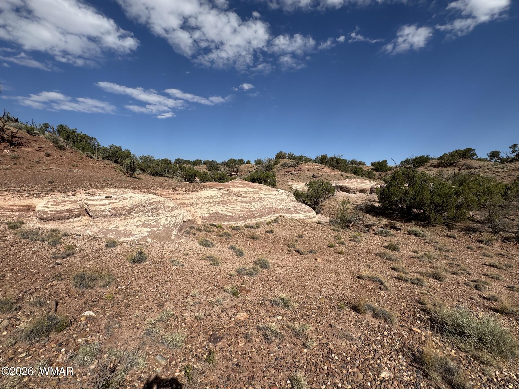 9463 Uttecht Trail Snowflake, AZ 85937 - Photo 44 of 50