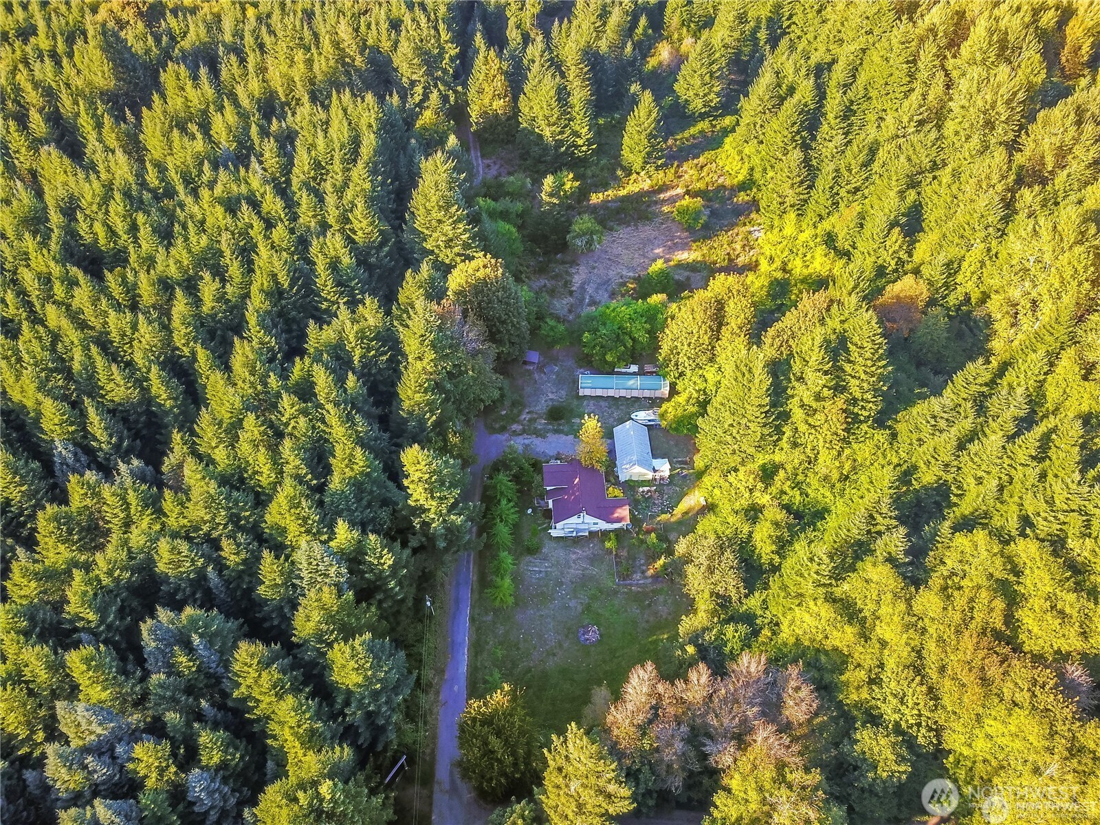 202 Kauer Road Randle, WA 98377 - Photo 15 of 17