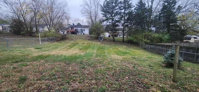 910 Timberline Drive Danville, IL 61832 - Photo 11 of 11 a backyard of a house with lots of green space