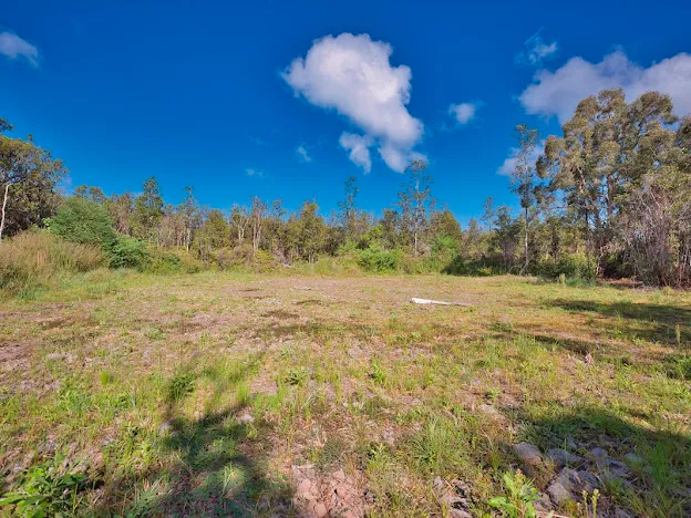 a view of a yard with a tree