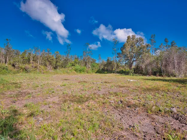 a view of mountain view with large trees