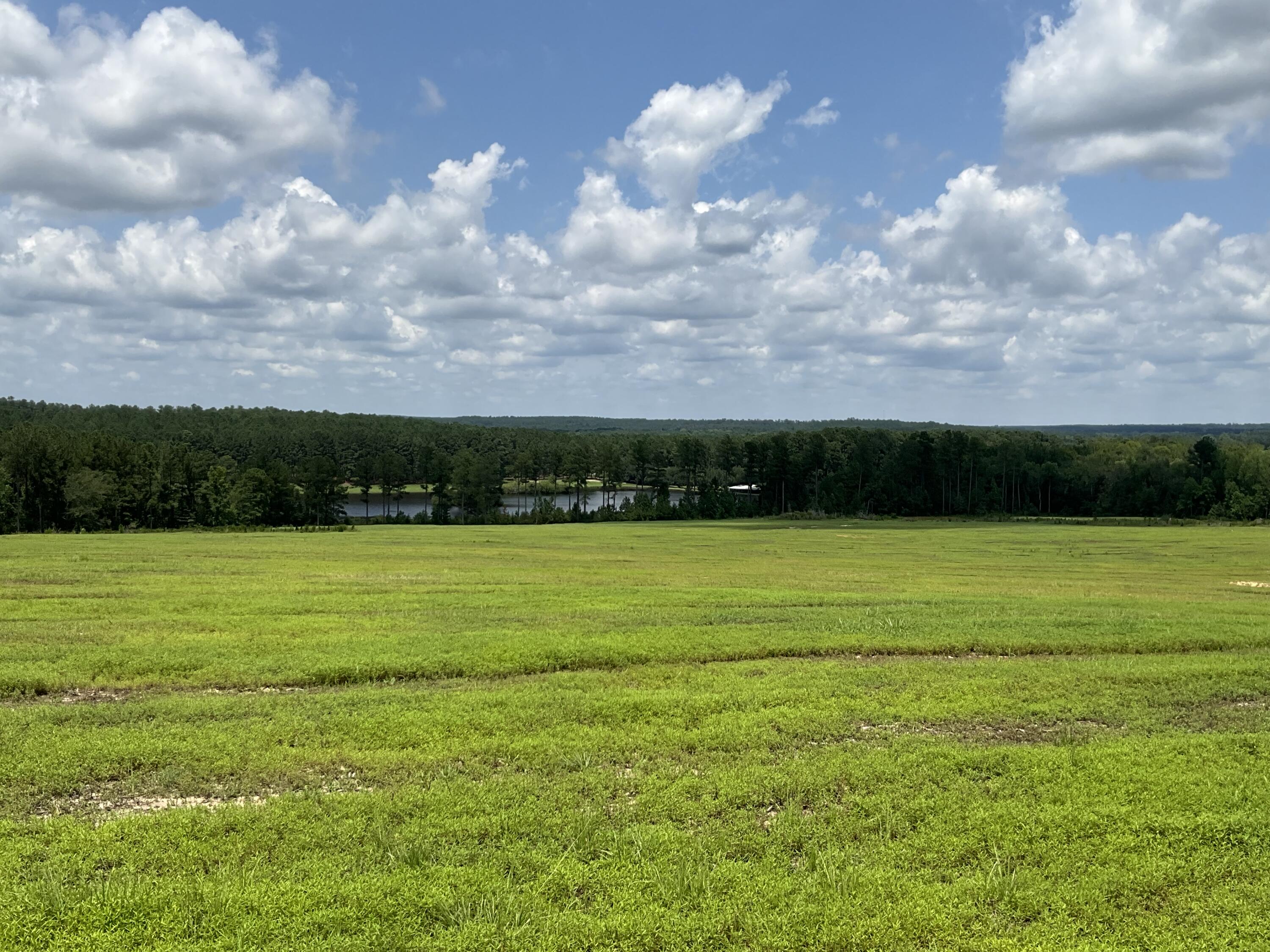 50 Laughlin Loop Aiken, SC 29805 - Photo 7 of 8