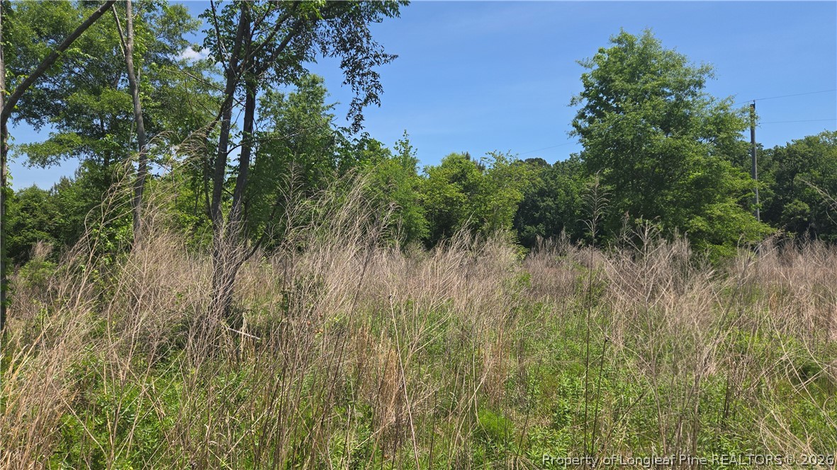 1634 Sweetie Road Fayetteville, NC 28312 - Photo 11 of 26
