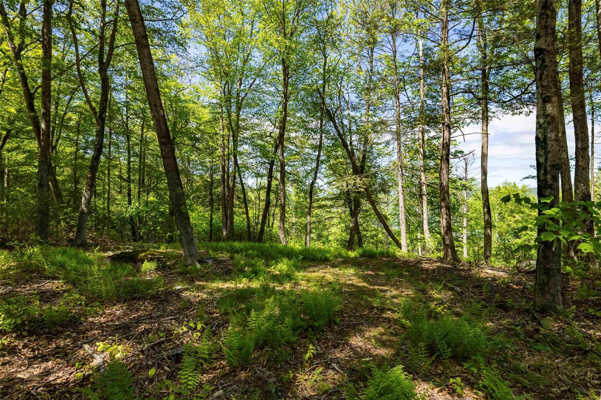 1 Red Rock Road Wawarsing, NY 12489 - Photo 10 of 20 a view of outdoor space and trees all around