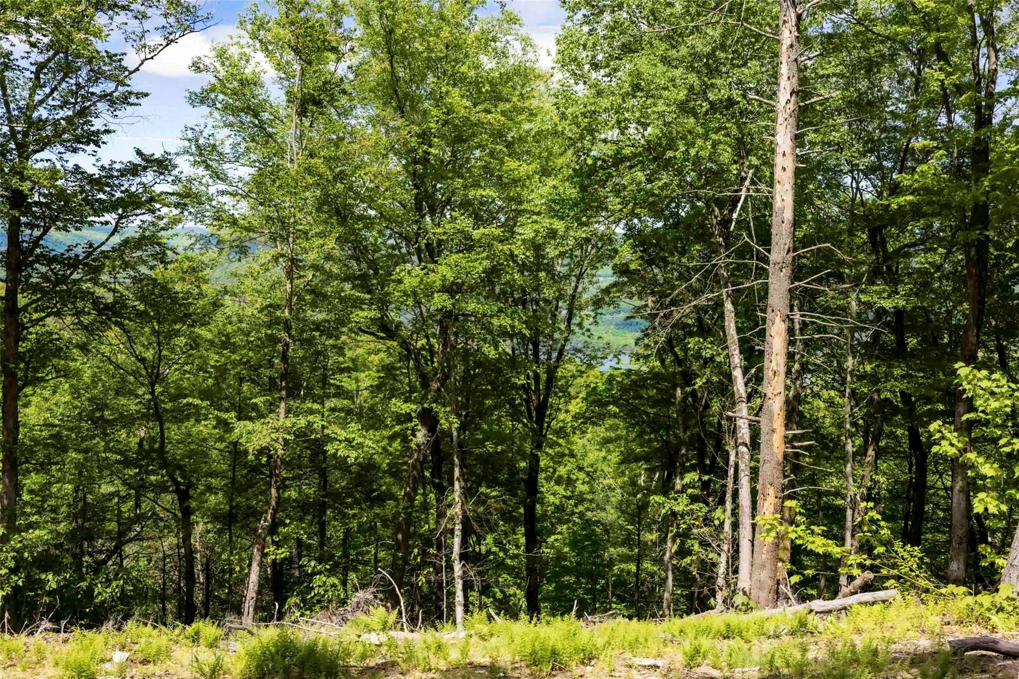 1 Red Rock Road Wawarsing, NY 12489 - Photo 13 of 20 a view of outdoor space and backyard