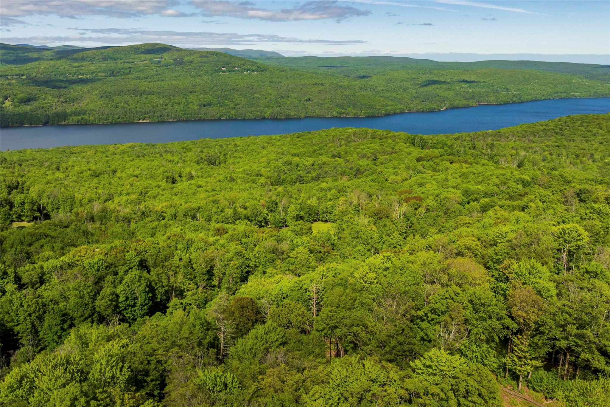 1 Red Rock Road Wawarsing, NY 12489 - Photo 8 of 20 a view of a garden with a bench