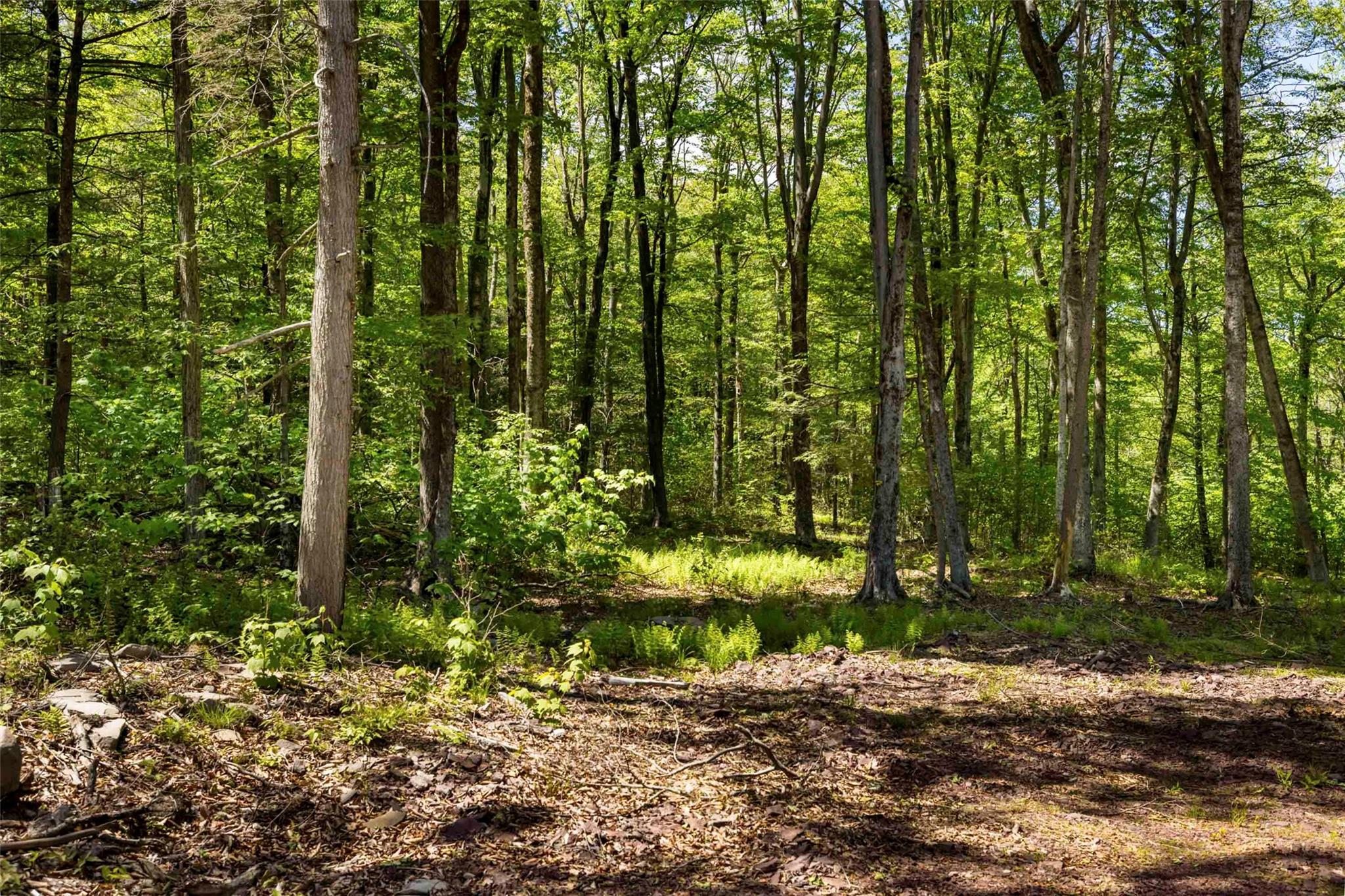 1 Red Rock Road Wawarsing, NY 12489 - Photo 9 of 20 a view of backyard with green space