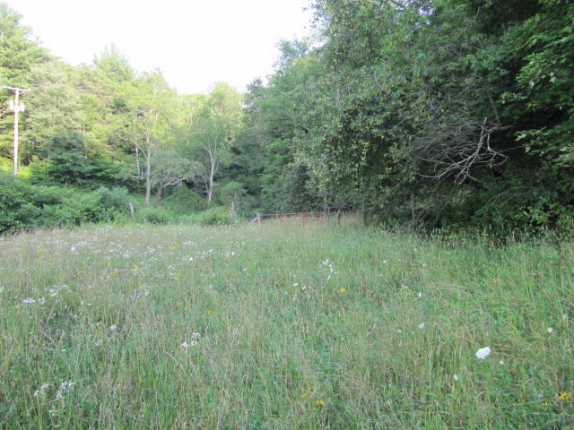 0 Double Springs Road Northeast Check, VA 24072 - Photo 4 of 10 a view of a lush green forest