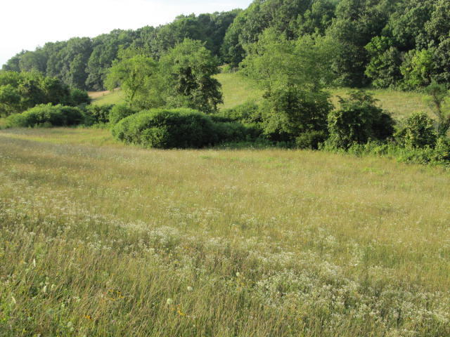 0 Double Springs Road Northeast Check, VA 24072 - Photo 7 of 10 a view of a field with an ocean view