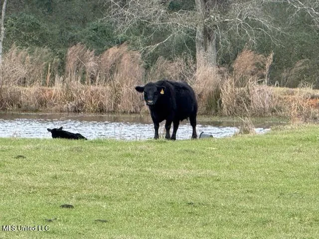 $289,500 | 1057 Joel Lang Road, Magnolia, MS 39652