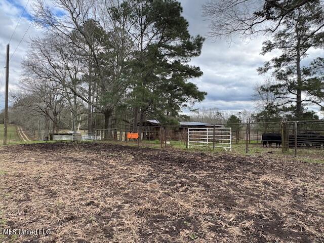 1057 Joel Lang Road Magnolia, MS 39652 - Photo 25 of 67 IMG_0120