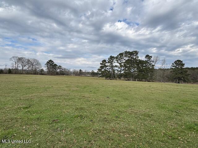1057 Joel Lang Road Magnolia, MS 39652 - Photo 26 of 67 IMG_0121
