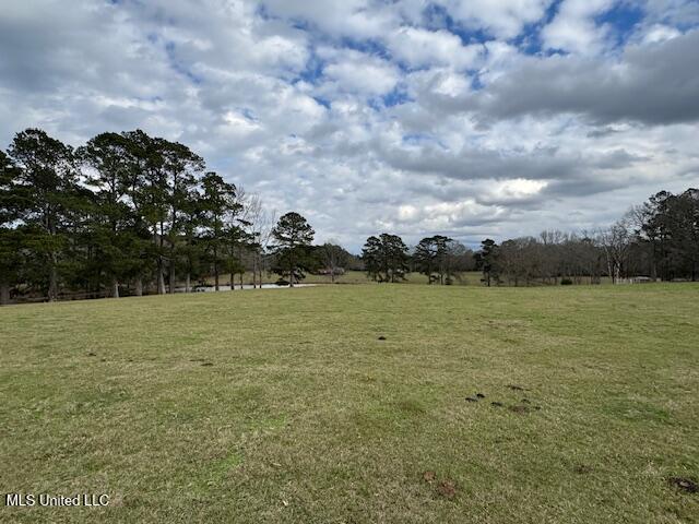 1057 Joel Lang Road Magnolia, MS 39652 - Photo 27 of 67 IMG_0122