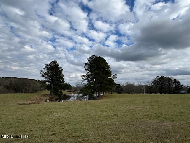 1057 Joel Lang Road Magnolia, MS 39652 - Photo 28 of 67 IMG_0123