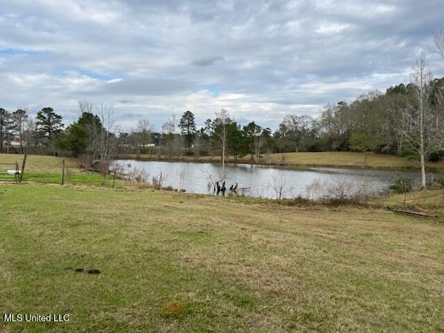 1057 Joel Lang Road Magnolia, MS 39652 - Photo 33 of 67 IMG_0128
