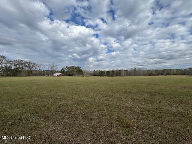 1057 Joel Lang Road Magnolia, MS 39652 - Photo 37 of 67 IMG_0132