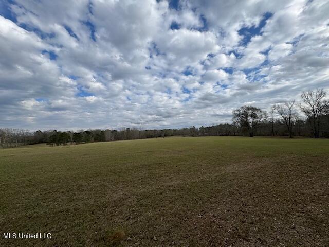 1057 Joel Lang Road Magnolia, MS 39652 - Photo 38 of 67 IMG_0133