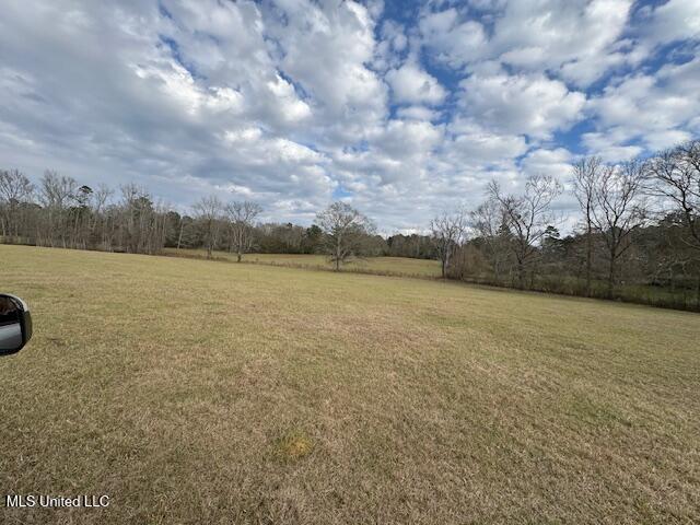 1057 Joel Lang Road Magnolia, MS 39652 - Photo 39 of 67 IMG_0134